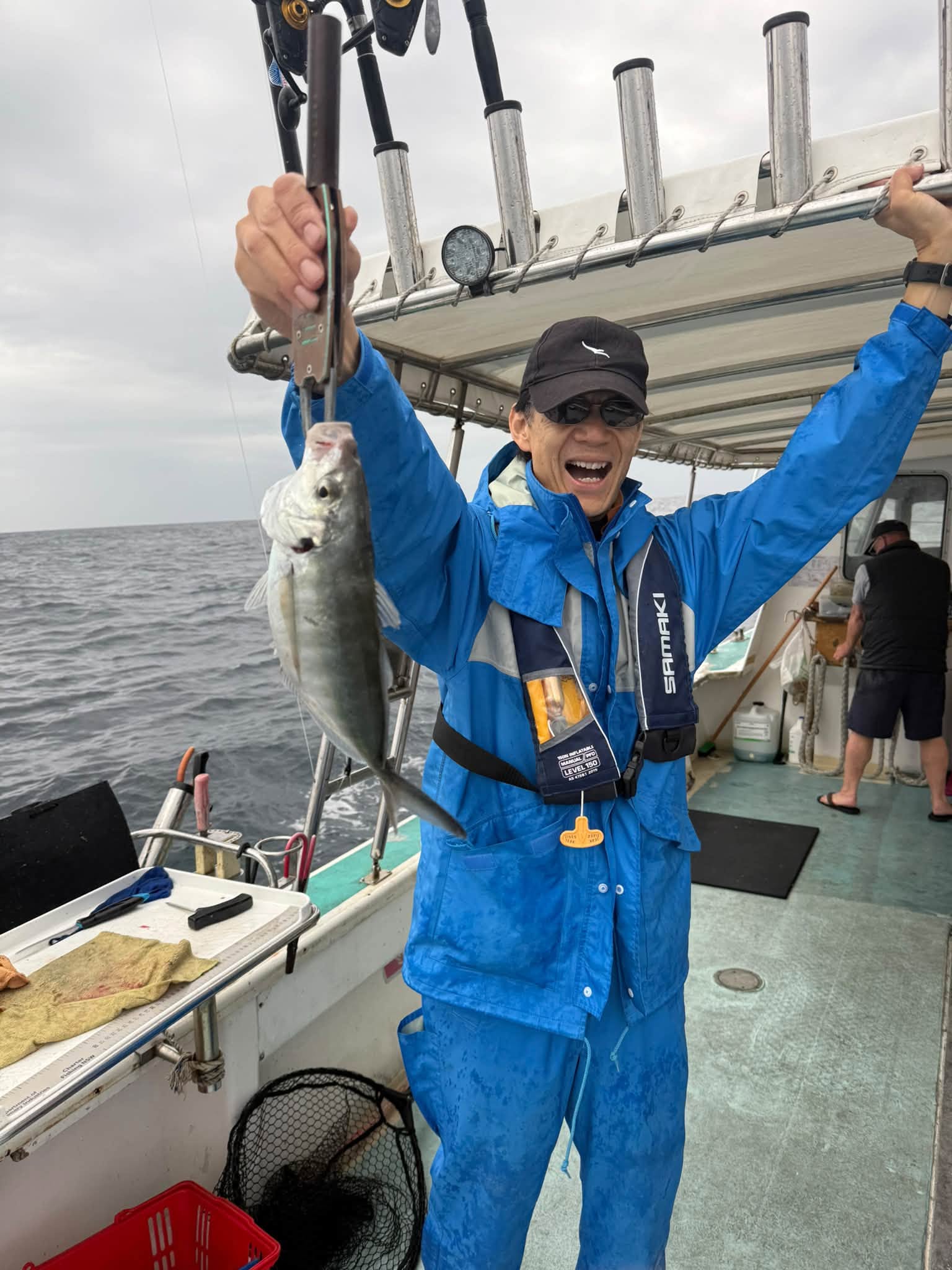 縞鯵の釣果